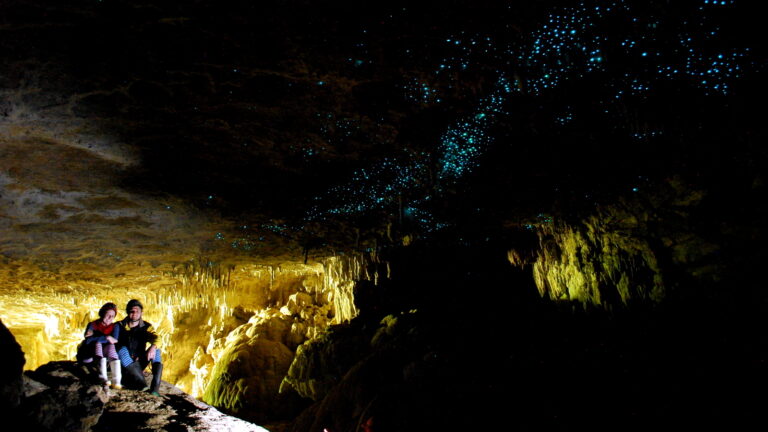 Green_Glow_Caves_in_New_Zealand_(6563152219)